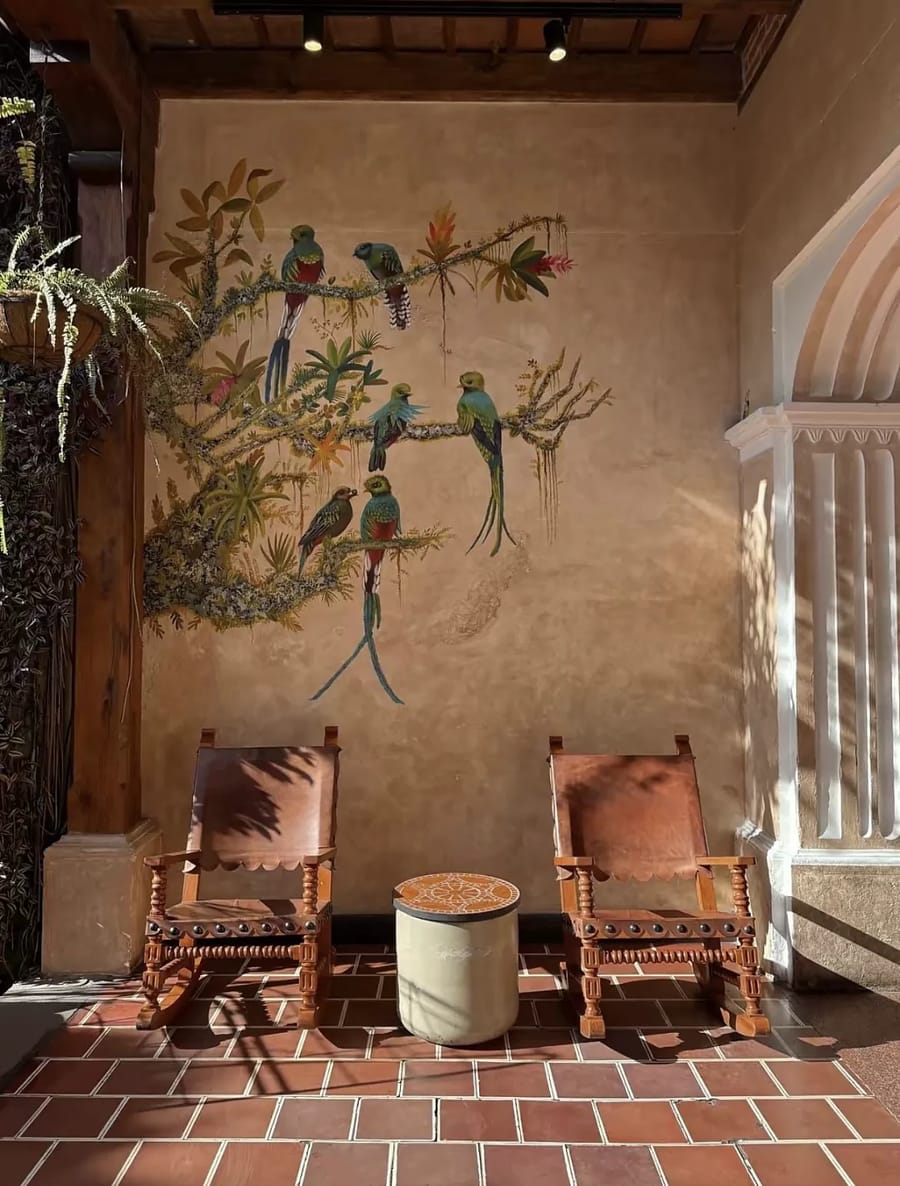 Vacation home lounge with parrot mural near Copán Ruinas